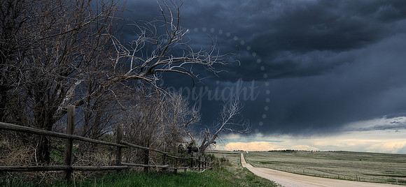 Out of the Storm