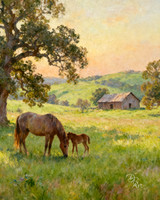 Spring Farm
