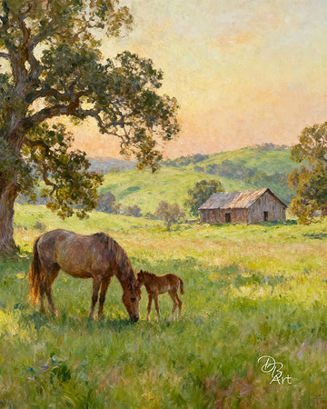 Spring Farm