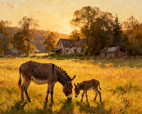 Donkey love