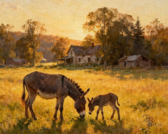 Donkey love