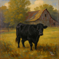 Angus portrait
