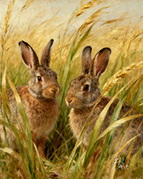 Bunnies 4