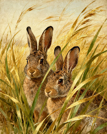 Bunnies 3