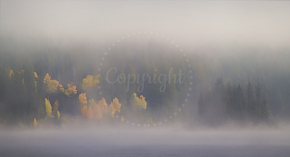 Fog on Island Lake