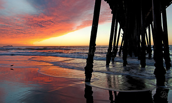 Nature's Colors - Pacific Coast Sunset