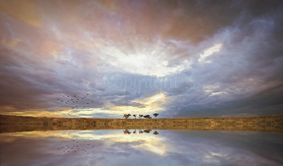 Reflecting Calm