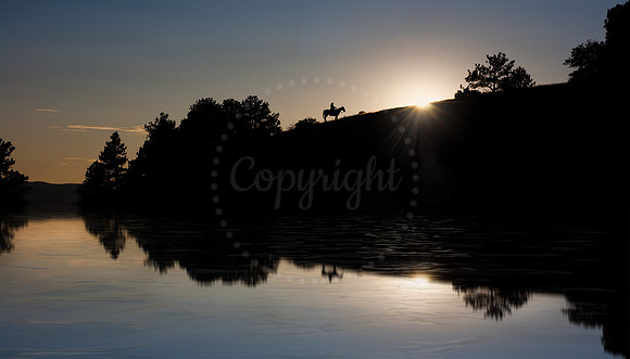 Lonesome Rider