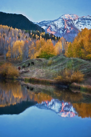 Pond Near Telluride, Colorado