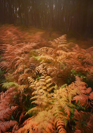Autumn Fern