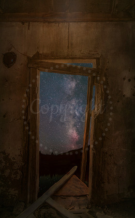 Night Light