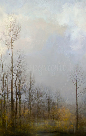 Into the Mist series 4