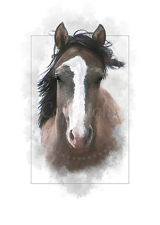 Portrait of a Horse