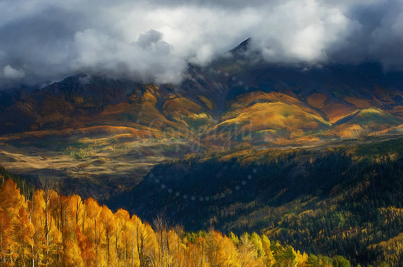 Nature's Quilt