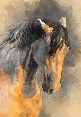 Abstract of a horse