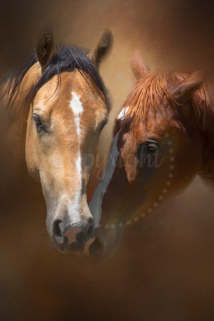 Best Friends