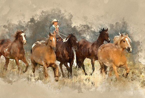 Back to the Barn