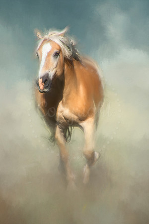 Mo II
