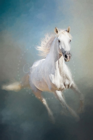 Spirit