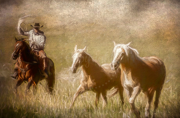 The Cowboy Way