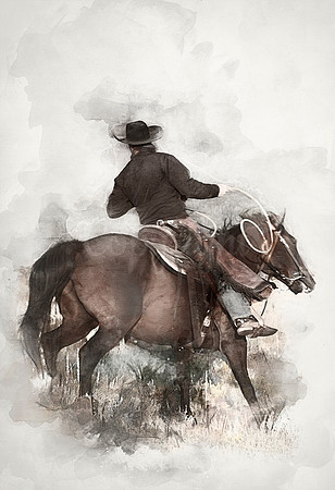 Noel - Ranch Hand, Farrier