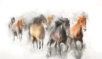 The Herd