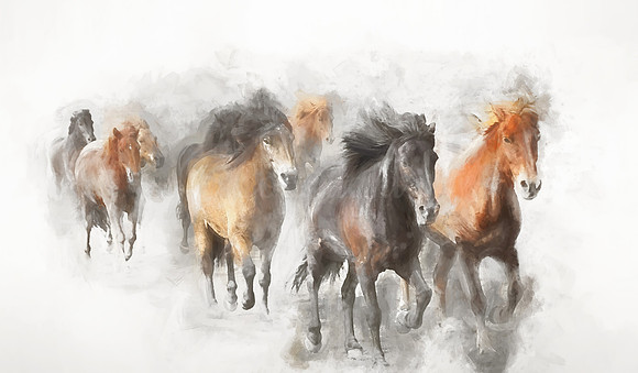 The Herd