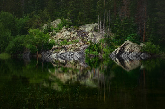 Emerald Forest