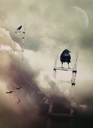 Crows and Ladders